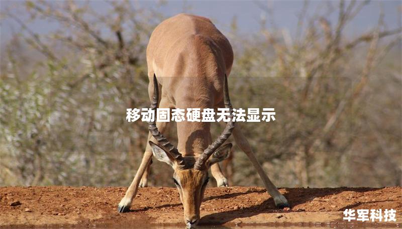 移动固态硬盘无法显示 移动固态硬盘无法显示