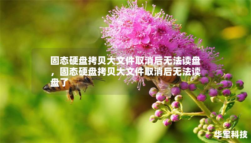 固态硬盘拷贝大文件取消后无法读盘,固态硬盘拷贝大文件取消后无法读盘了 固态硬盘拷贝大文件取消后无法读盘,固态硬盘拷贝大文件取消后无法读盘了