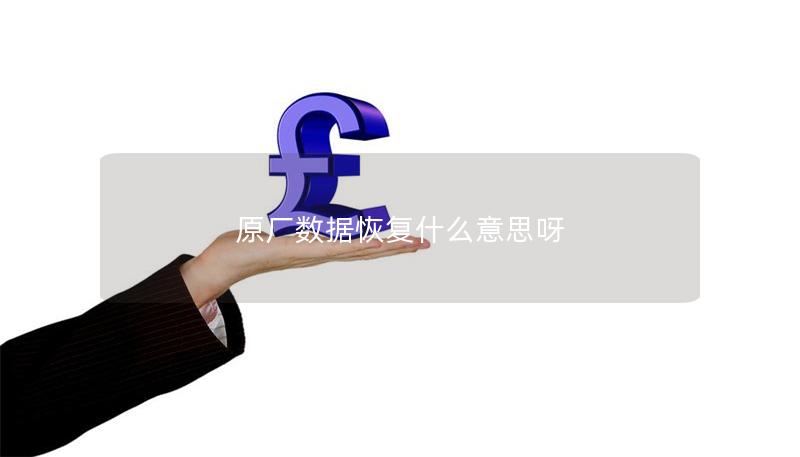 原厂数据恢复什么意思呀 原厂数据恢复什么意思呀