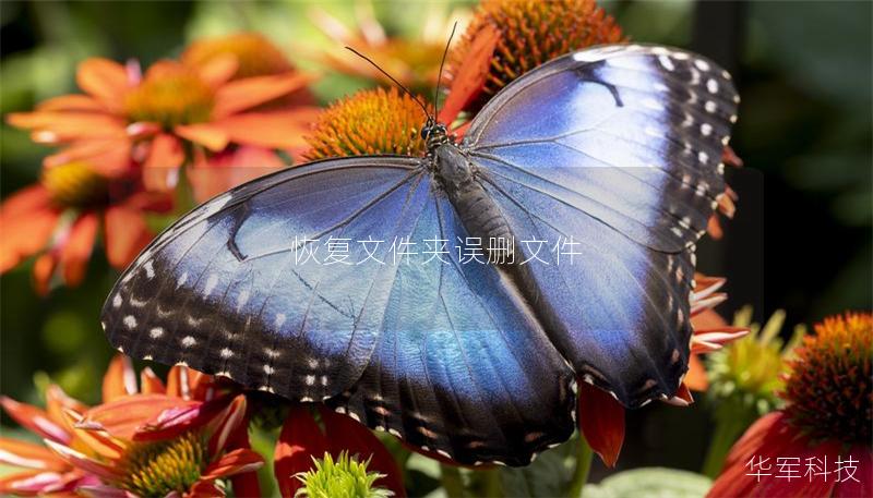 恢复文件夹误删文件 恢复文件夹误删文件