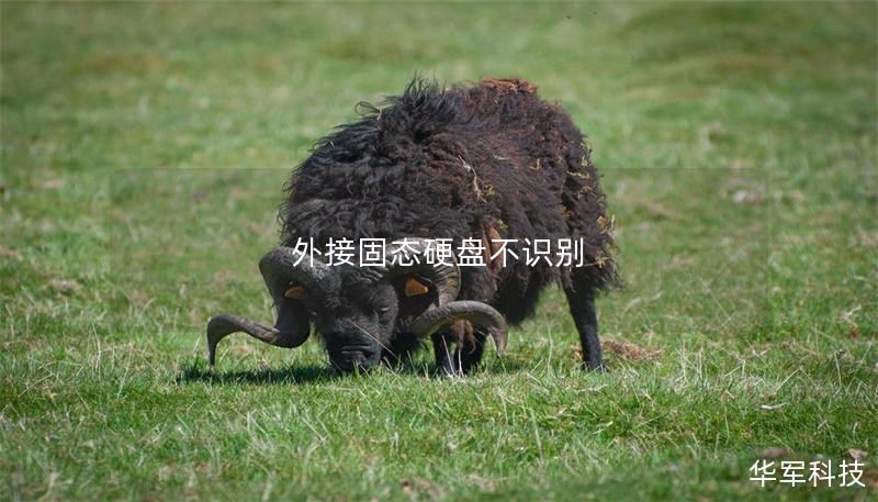 外接固态硬盘不识别 外接固态硬盘不识别