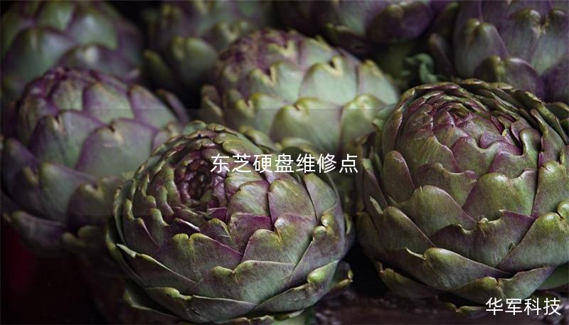 东芝硬盘维修点 东芝硬盘维修点