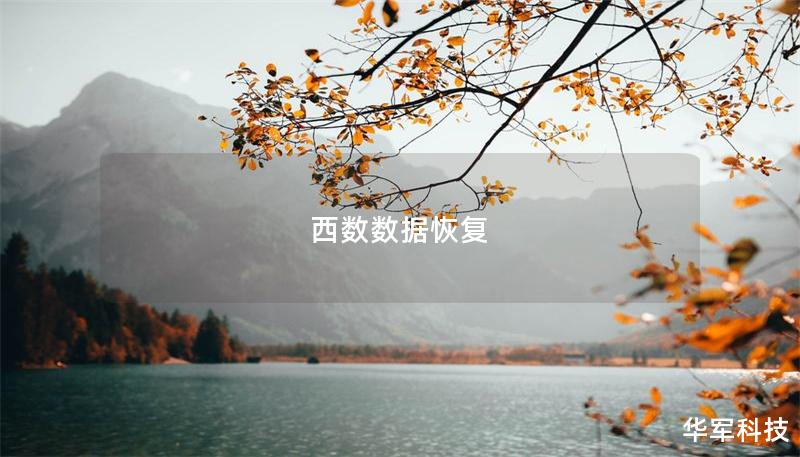 西数数据恢复 西数数据恢复
