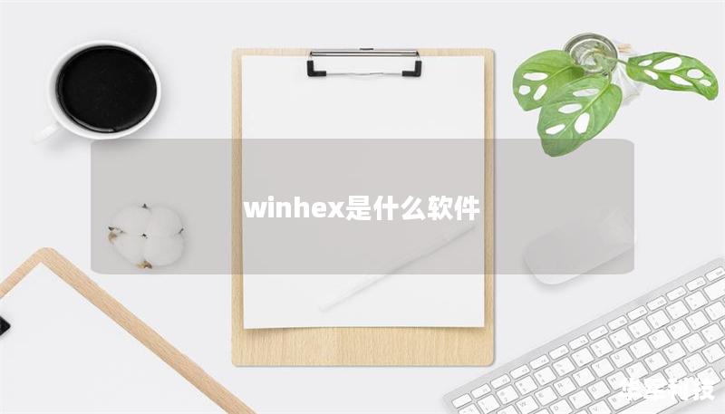 winhex是什么软件 winhex是什么软件
