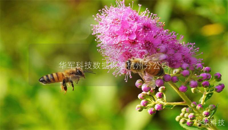 技王数据恢复杭州分公司 技王数据恢复杭州分公司