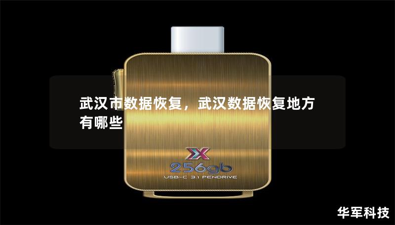 武汉市数据恢复,武汉数据恢复地方有哪些 武汉市数据恢复,武汉数据恢复地方有哪些