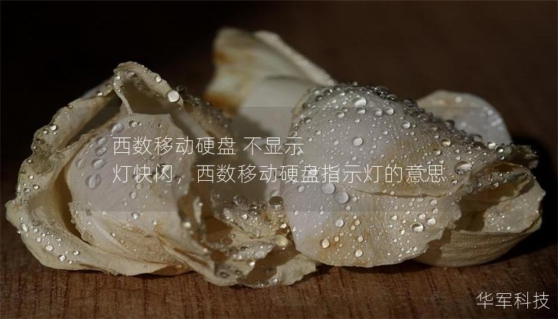 西数移动硬盘 不显示 灯快闪,西数移动硬盘指示灯的意思 西数移动硬盘 不显示 灯快闪,西数移动硬盘指示灯的意思