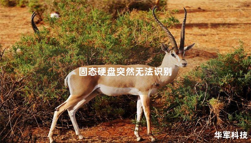 固态硬盘突然无法识别 固态硬盘突然无法识别