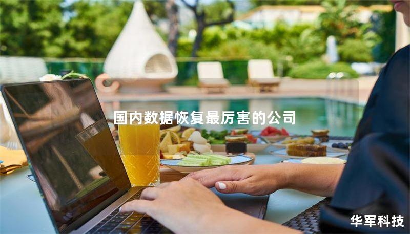 国内数据恢复最厉害的公司 国内数据恢复最厉害的公司