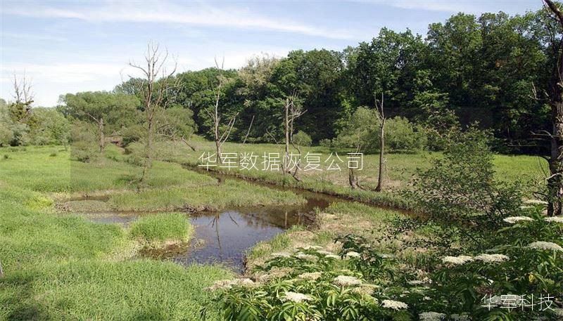 技王数据恢复公司 技王数据恢复公司