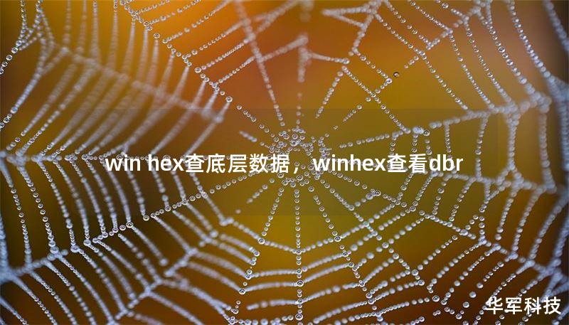 本文将带您深入了解WinHex查看器这一强大的工具，探索其在底层数据查看、分析和修复中的独特魅力与广泛应用。通过实际案例和专业解析，揭示WinHex如何帮助技术爱好者和专业人士突破数据查看的边界。