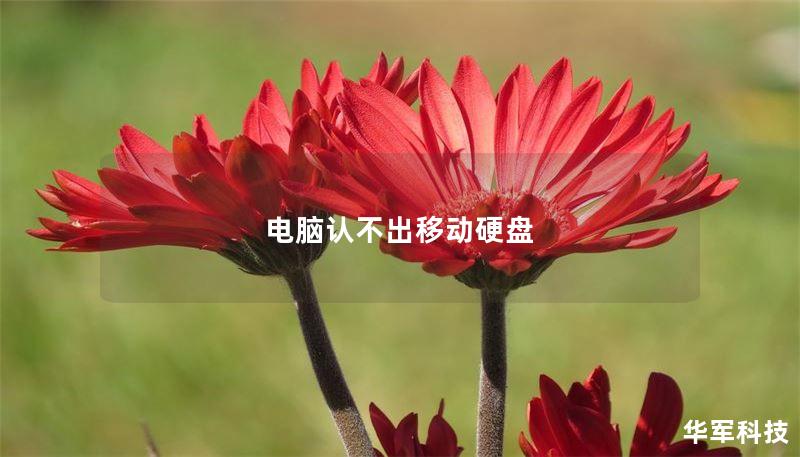 电脑认不出移动硬盘 电脑认不出移动硬盘