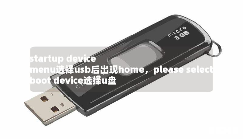 startup device menu选择usb后出现home,please select boot device选择u盘 startup device menu选择usb后出现home,please select boot device选择u盘
