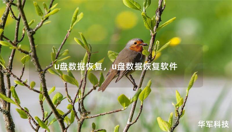 u盘数据恢复,u盘数据恢复软件 u盘数据恢复,u盘数据恢复软件