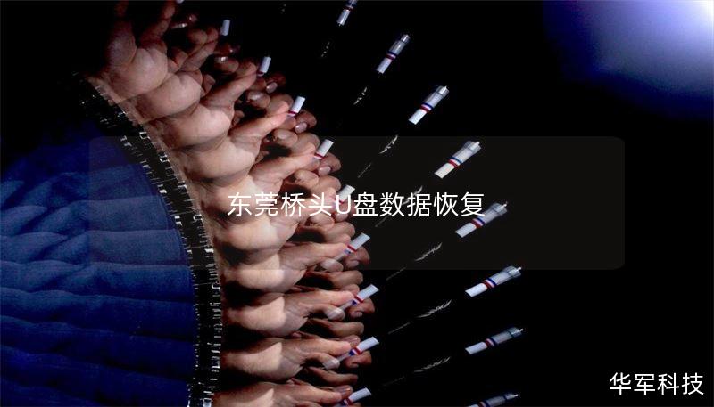 东莞桥头专业U盘数据恢复服务，快速恢复丢失数据，提供详细教程和真实案例分析，帮助您解决U盘故障问题。