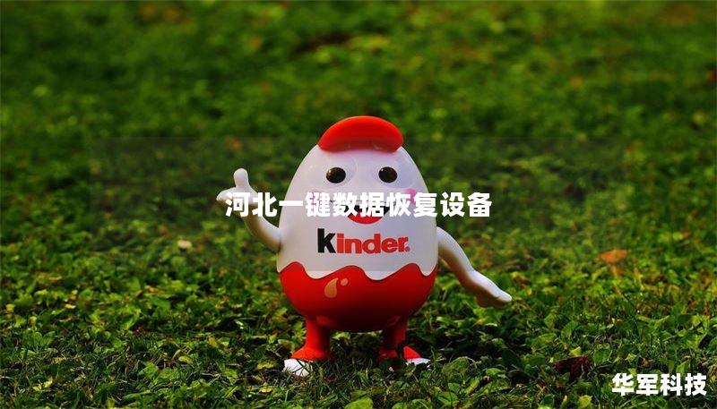 河北一键数据恢复设备提供高效的数据恢复解决方案，帮助用户快速恢复丢失的数据。了解设备使用方法及真实案例分析。