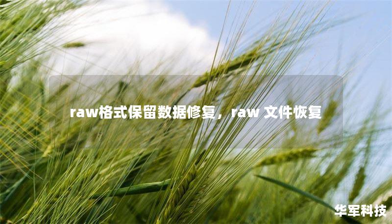raw格式保留数据修复,raw 文件恢复 raw格式保留数据修复,raw 文件恢复