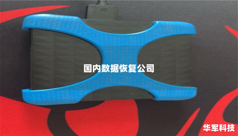 国内数据恢复公司 国内数据恢复公司