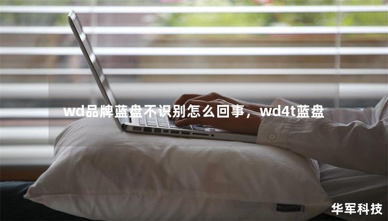wd品牌蓝盘不识别怎么回事,wd4t蓝盘 wd品牌蓝盘不识别怎么回事,wd4t蓝盘