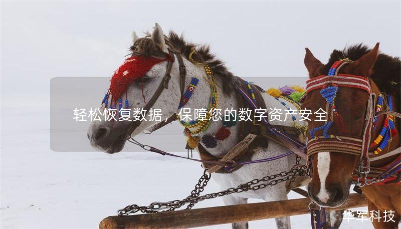 轻松恢复数据,保障您的数字资产安全 轻松恢复数据,保障您的数字资产安全