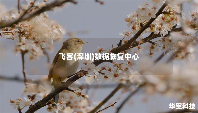 飞客(深圳)数据恢复中心 飞客(深圳)数据恢复中心