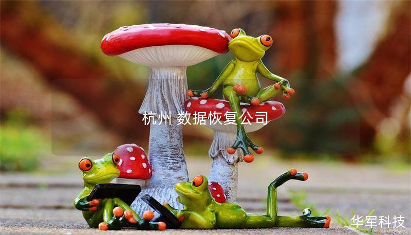 杭州 数据恢复公司 杭州 数据恢复公司