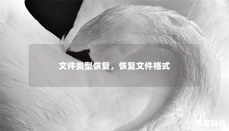 文件类型恢复,恢复文件格式 文件类型恢复,恢复文件格式