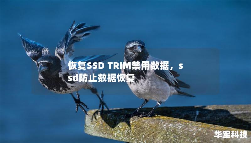 恢复SSD TRIM禁用数据,ssd防止数据恢复 恢复SSD TRIM禁用数据,ssd防止数据恢复