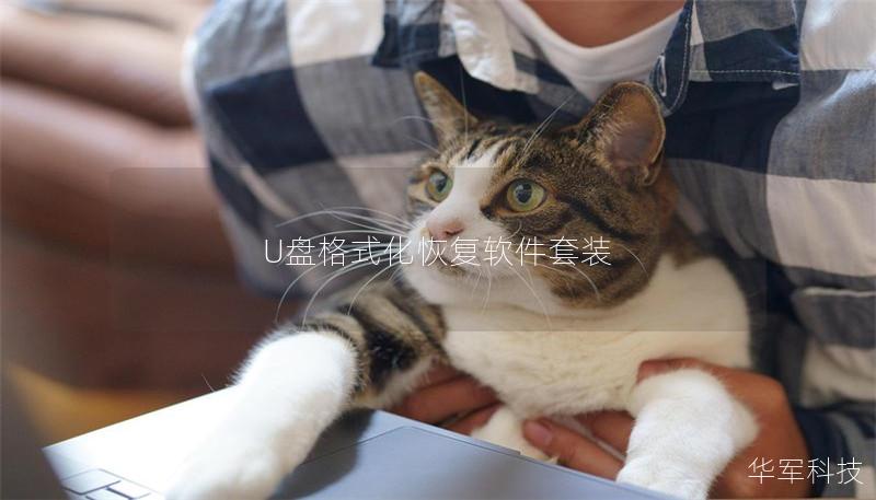 U盘格式化恢复软件套装 U盘格式化恢复软件套装