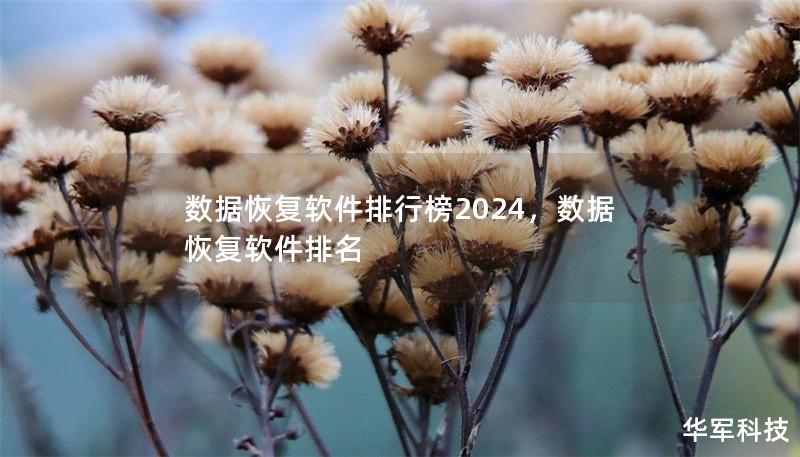 数据恢复软件排行榜2024,数据恢复软件排名 数据恢复软件排行榜2024,数据恢复软件排名