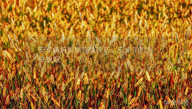 安卓系统数据恢复技巧,安卓手机系统数据 安卓系统数据恢复技巧,安卓手机系统数据
