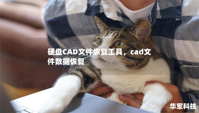 硬盘CAD文件恢复工具,cad文件数据恢复 硬盘CAD文件恢复工具,cad文件数据恢复