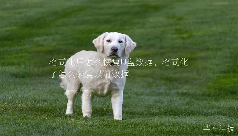 格式化后怎么恢复U盘数据,格式化了怎么恢复以前数据 格式化后怎么恢复U盘数据,格式化了怎么恢复以前数据