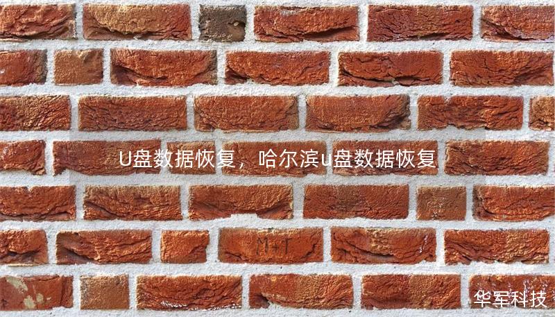 U盘数据恢复,哈尔滨u盘数据恢复 U盘数据恢复,哈尔滨u盘数据恢复