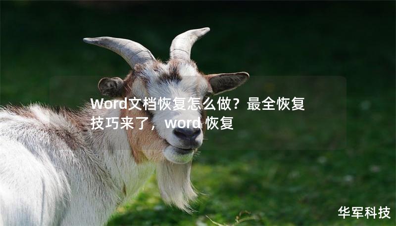 Word文档恢复怎么做?最全恢复技巧来了,word 恢复 Word文档恢复怎么做?最全恢复技巧来了,word 恢复