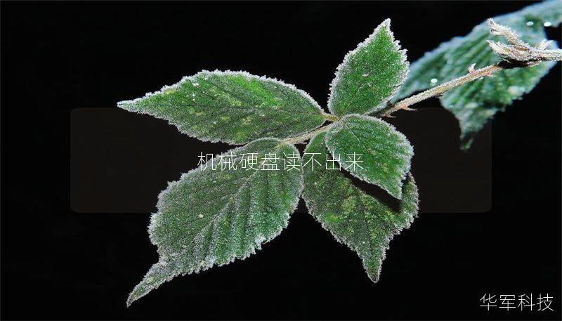 机械硬盘读不出来 机械硬盘读不出来