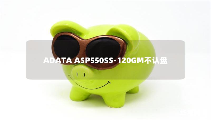 ADATA ASP550SS-120GM不认盘 ADATA ASP550SS-120GM不认盘