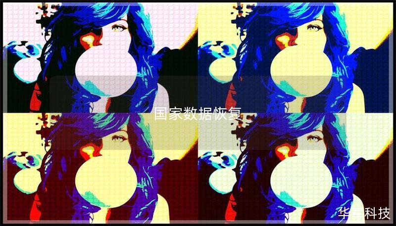 国家数据恢复 国家数据恢复