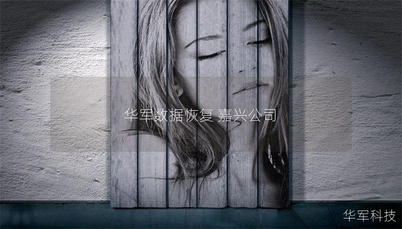 技王数据恢复 嘉兴公司 技王数据恢复 嘉兴公司