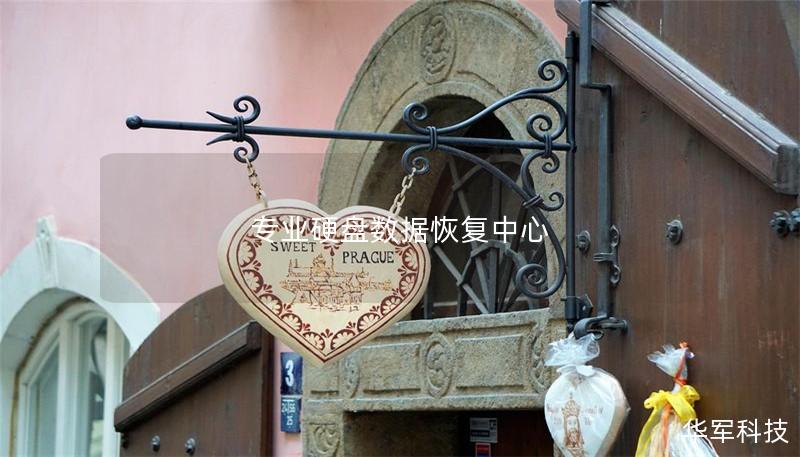 专业硬盘数据恢复中心 专业硬盘数据恢复中心
