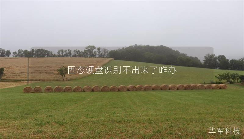 固态硬盘识别不出来了咋办 固态硬盘识别不出来了咋办