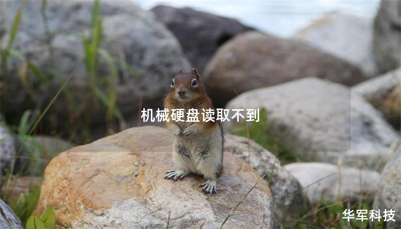 机械硬盘读取不到 机械硬盘读取不到