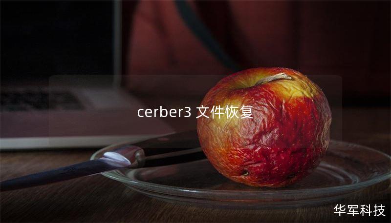 cerber3 文件恢复 cerber3 文件恢复