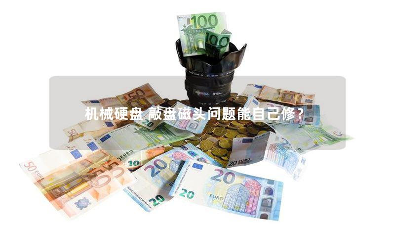 机械硬盘 敲盘磁头问题能自己修? 机械硬盘 敲盘磁头问题能自己修?