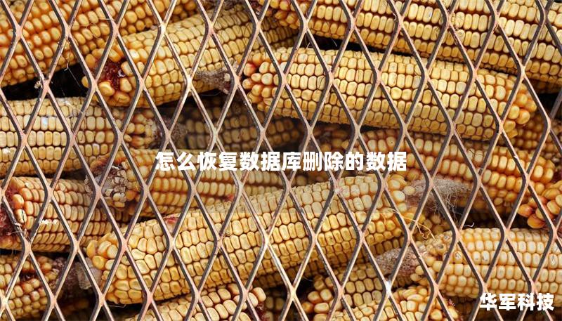 怎么恢复数据库删除的数据 怎么恢复数据库删除的数据