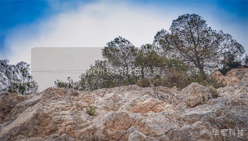 杭州移动硬盘修复 杭州移动硬盘修复