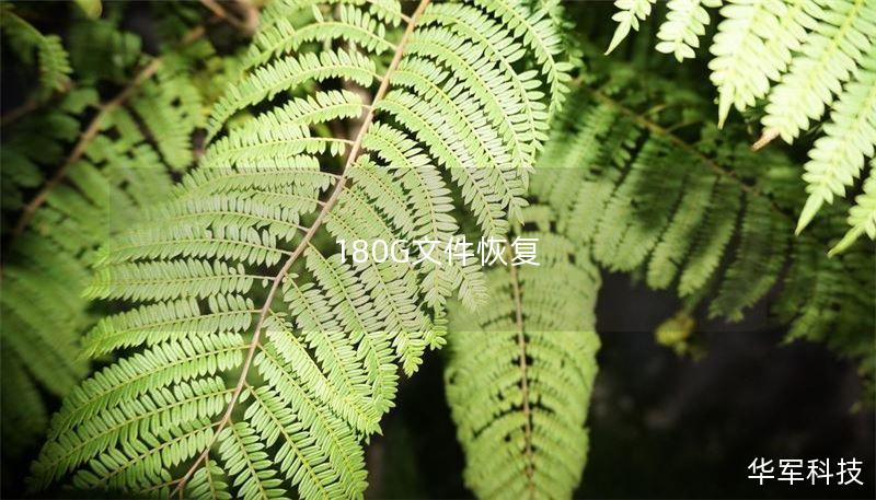 180G文件恢复 180G文件恢复