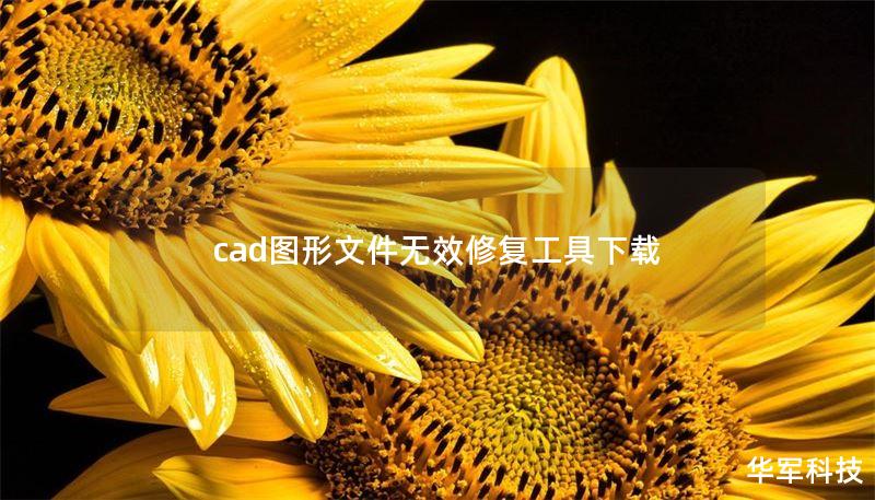 cad图形文件无效修复工具下载 cad图形文件无效修复工具下载