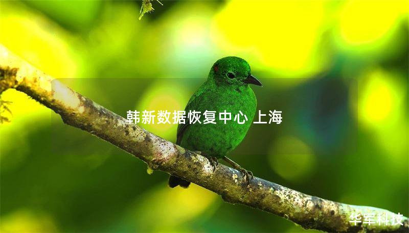 韩新数据恢复中心 上海 韩新数据恢复中心 上海