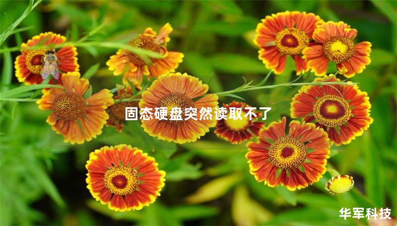 固态硬盘突然读取不了 固态硬盘突然读取不了